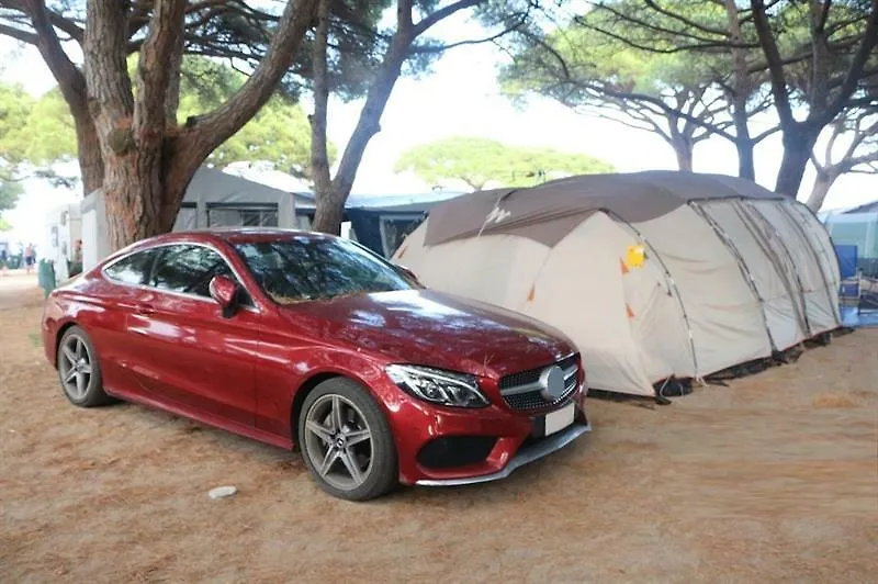 Camping Vall D'Or-1